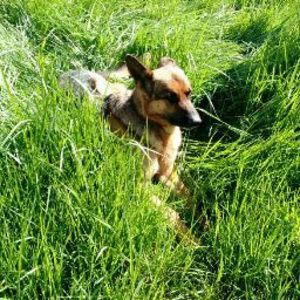 Meet your Posher, Lily-marie